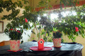 Familiengrillfest 2013
